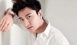 金晨贾乃亮最新爆料,揭秘娱乐圈背后的惊人真相